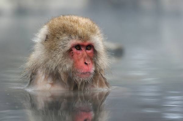 Photograph Ria De Heij My Friend on One Eyeland